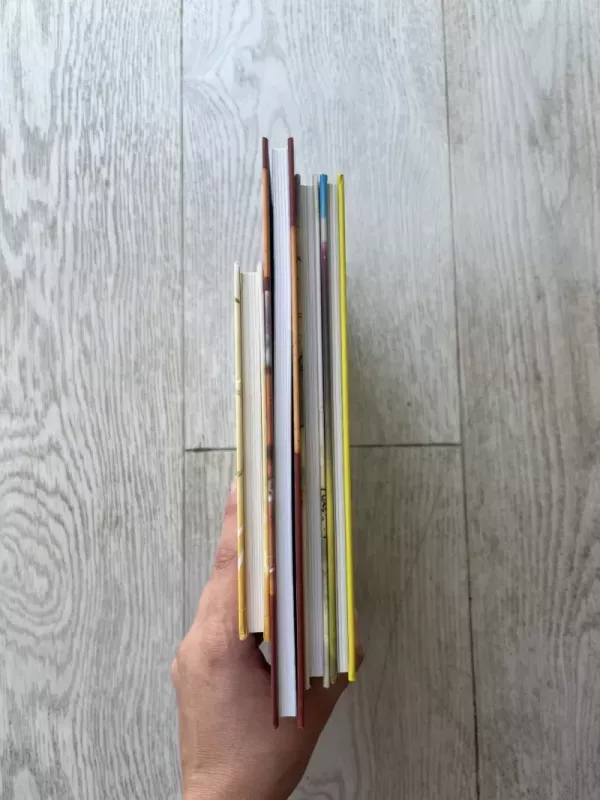 Didžiosios tvoros paslaptis - Indrė Pavilonytė, Martynas Pavilonis, knyga 4