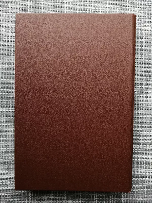 Lietuvių liaudies menas ir jo meninių formų plėtojimosi pagrindai. - Paulius Galaunė, knyga 6