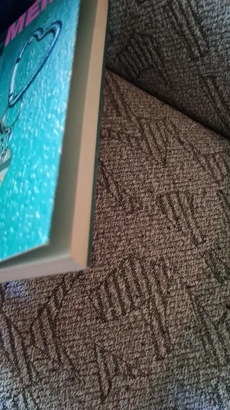 Sunki meilė - Anne Cassidy, knyga 3