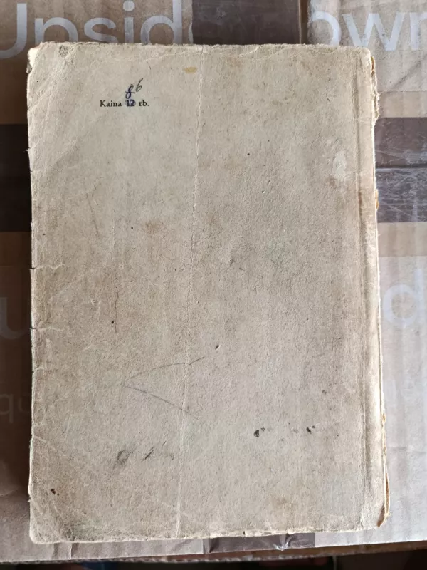 Dičius - Teofilis Tilvytis, knyga 3