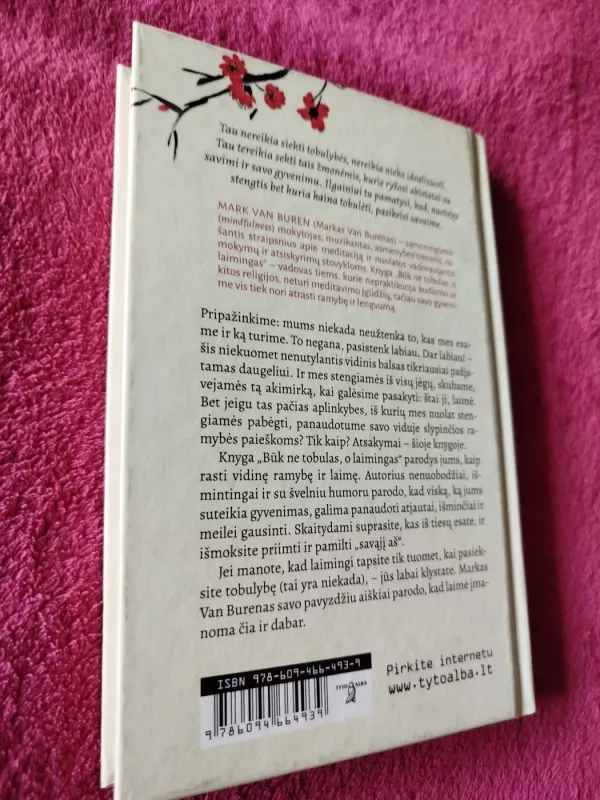 Būk ne tobulas, o laimingas - Mark Van Buren, knyga 5