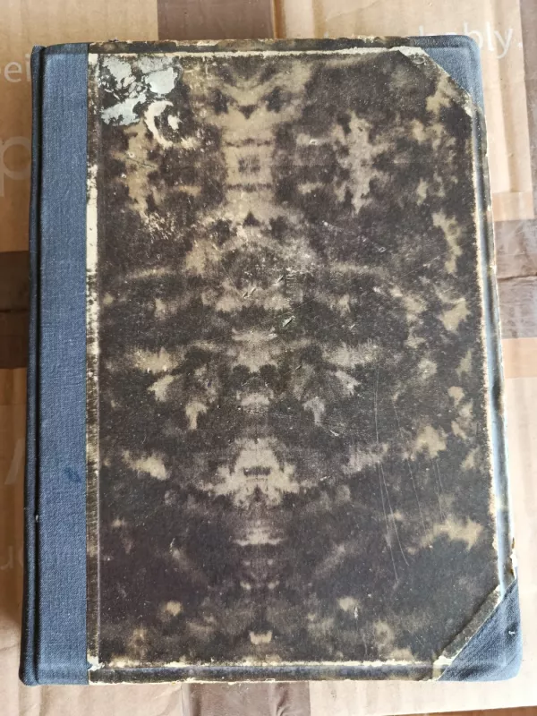 Maksimo Gorkio gyvenimas ir nuotykiai - I. Gruzdevas, knyga 4