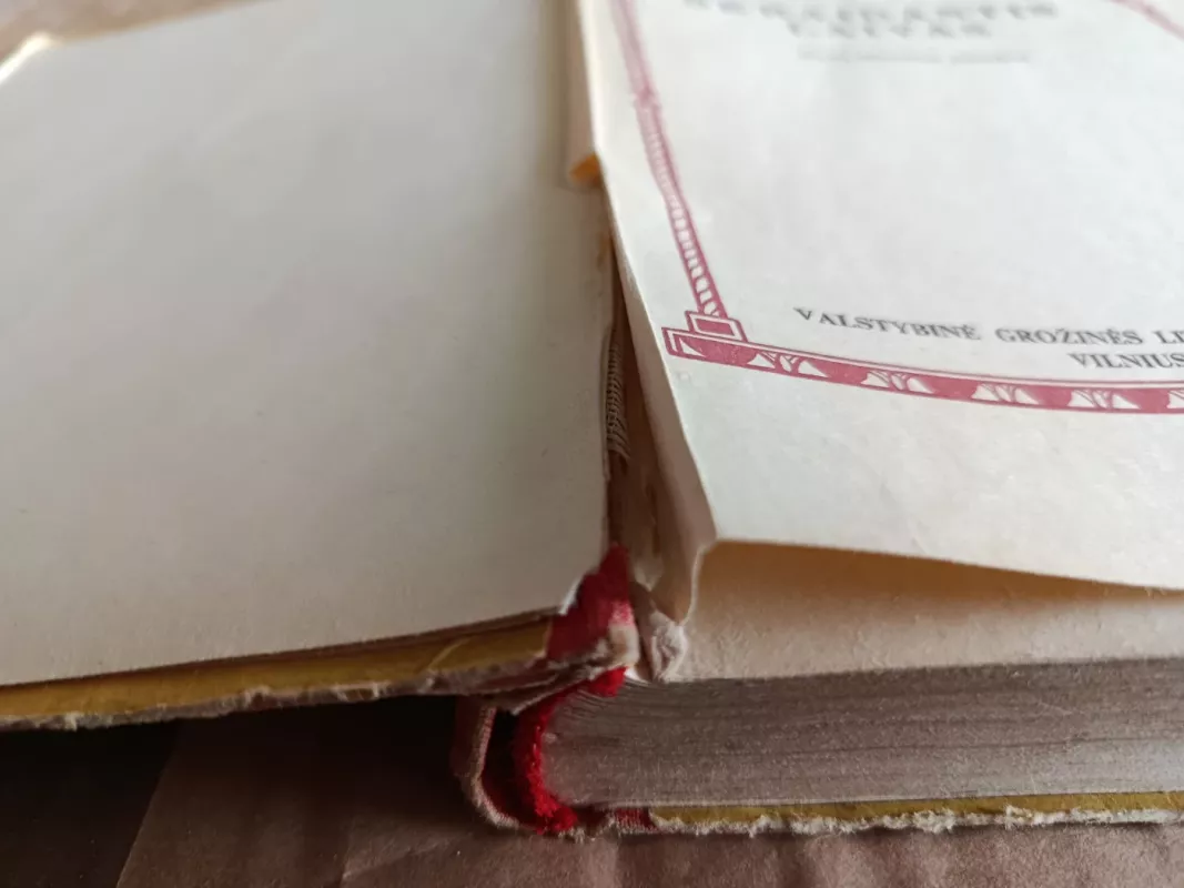 Skraidantis laivas - Autorių Kolektyvas, knyga 6