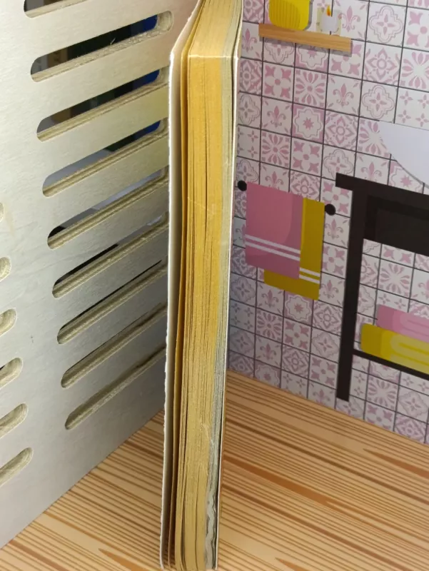 Kario mokinys - Lois McMaster Bujold, knyga 3