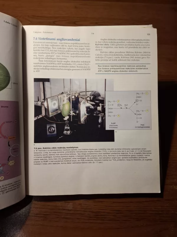 Biologija I knyga - Sylvia S. Mader, knyga 3