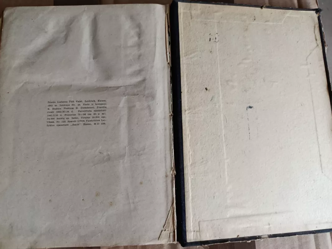 Maksimo Gorkio gyvenimas ir nuotykiai - I. Gruzdevas, knyga 2