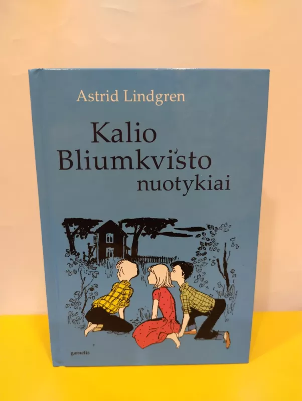 Kalio Bliumkvisto nuotykiai - Astrid Lindgren, knyga 2