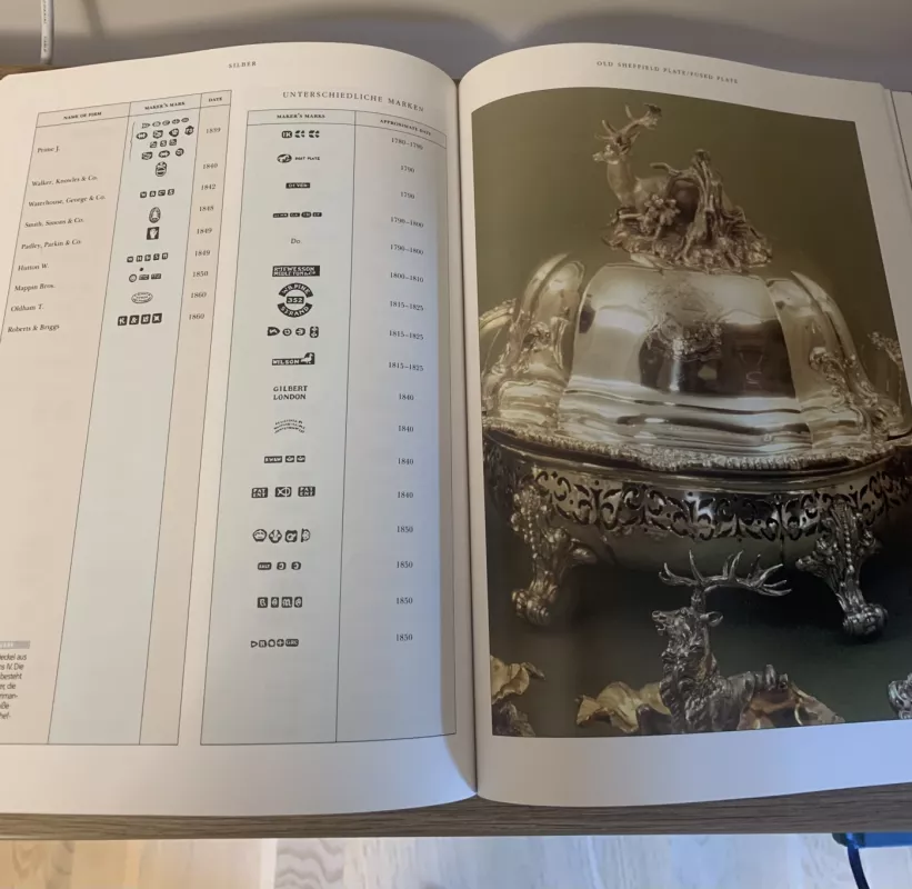 Silber - Joel Langford, knyga 4