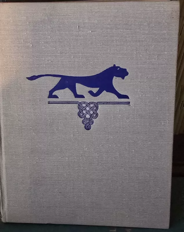 Karžygys tigro kailiu - Šota Rustavelis, knyga 2