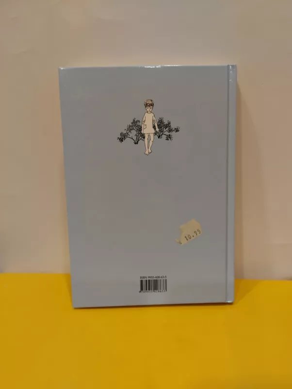 Mijo, mano Mijo - Astrid Lindgren, knyga 3