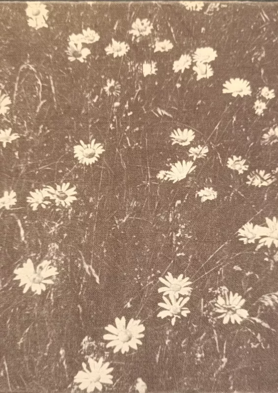 Lietuvos gamta - R. Budrys, knyga 2