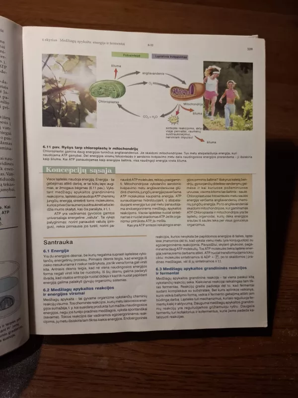Biologija I knyga - Sylvia S. Mader, knyga 4