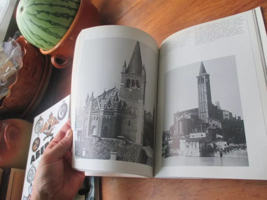 Verona - nelle immagini degli Archivi Alinari - Nino Cenni, knyga 6