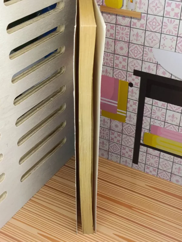 Haukas ir Fišer - Simonas R. Grynas, knyga 5