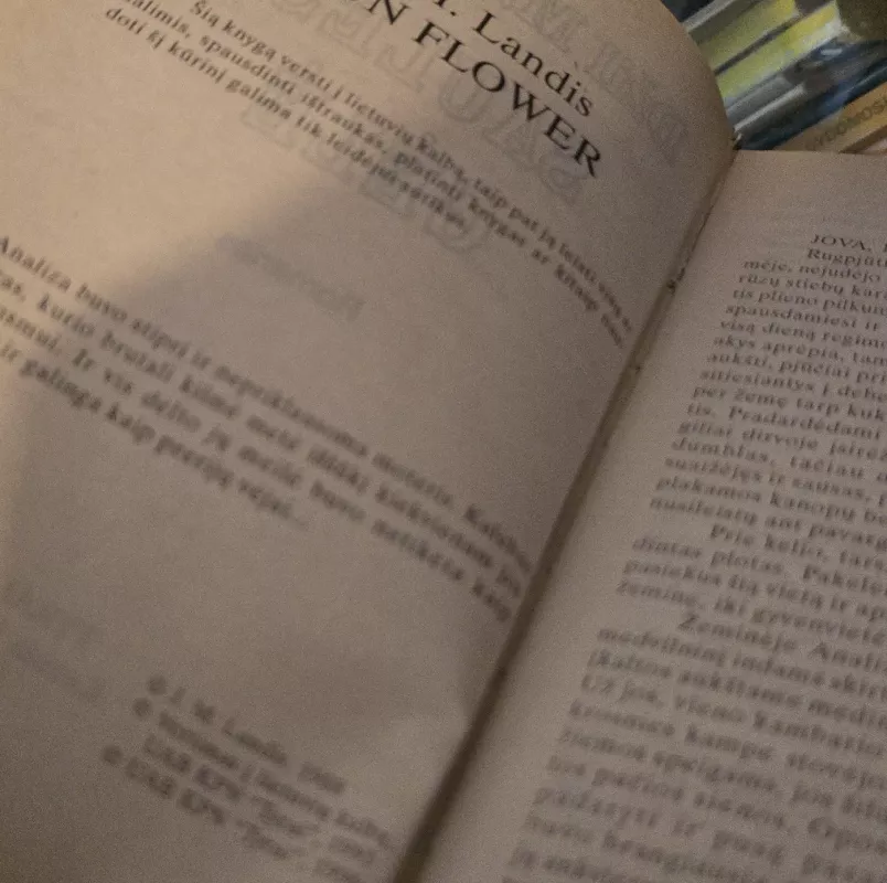 Saulės gėlė - Džil M. Lendis, knyga 3