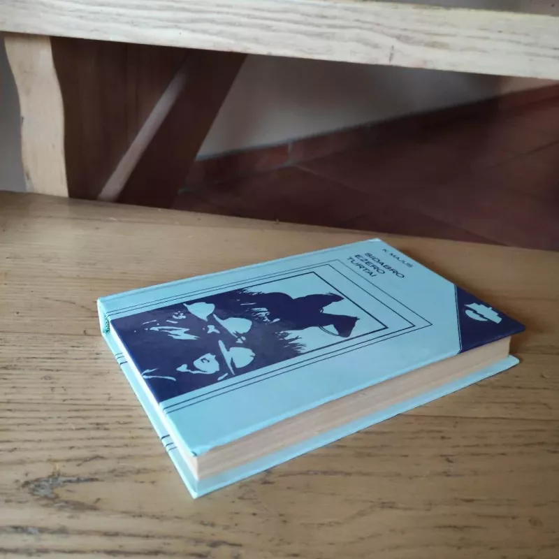 Sidabro ežero turtai - Karlas Majus, knyga 6