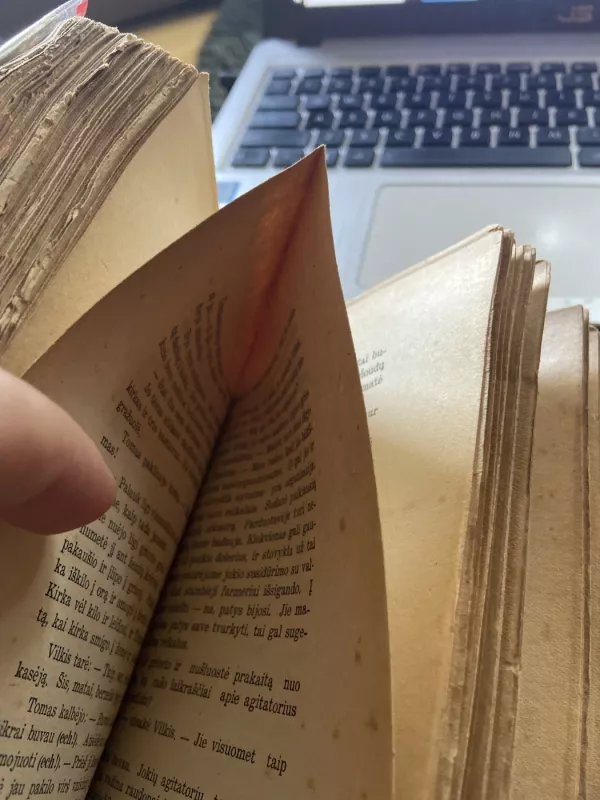 Rūstybės kekės - Džonas Steinbekas, knyga 2