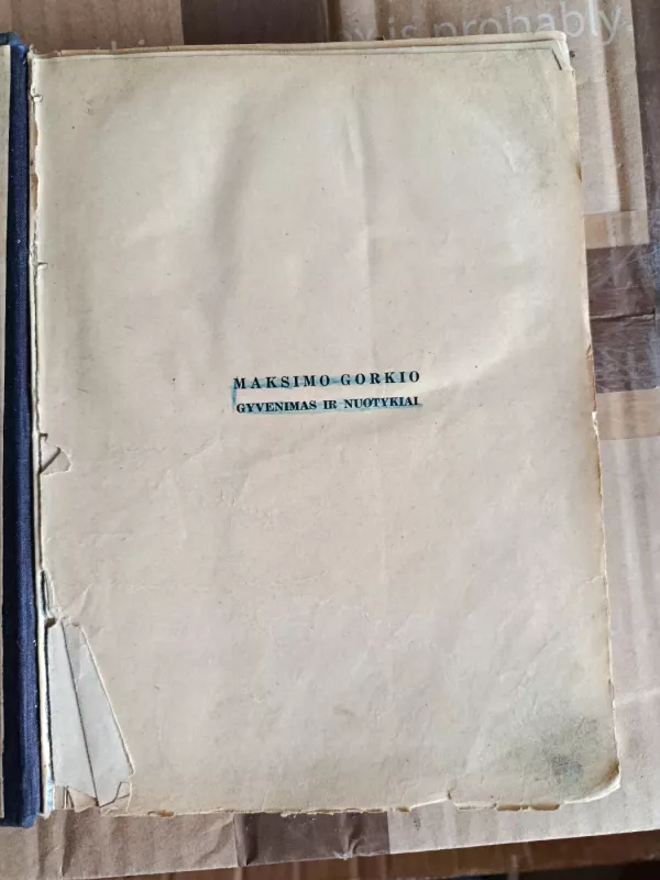 Maksimo Gorkio gyvenimas ir nuotykiai - I. Gruzdevas, knyga 3