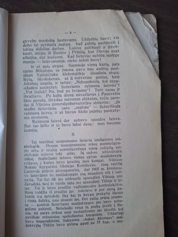 J.P. Tumo Lietuvių literatūros paskaitos - J.P. Tumas, knyga 2