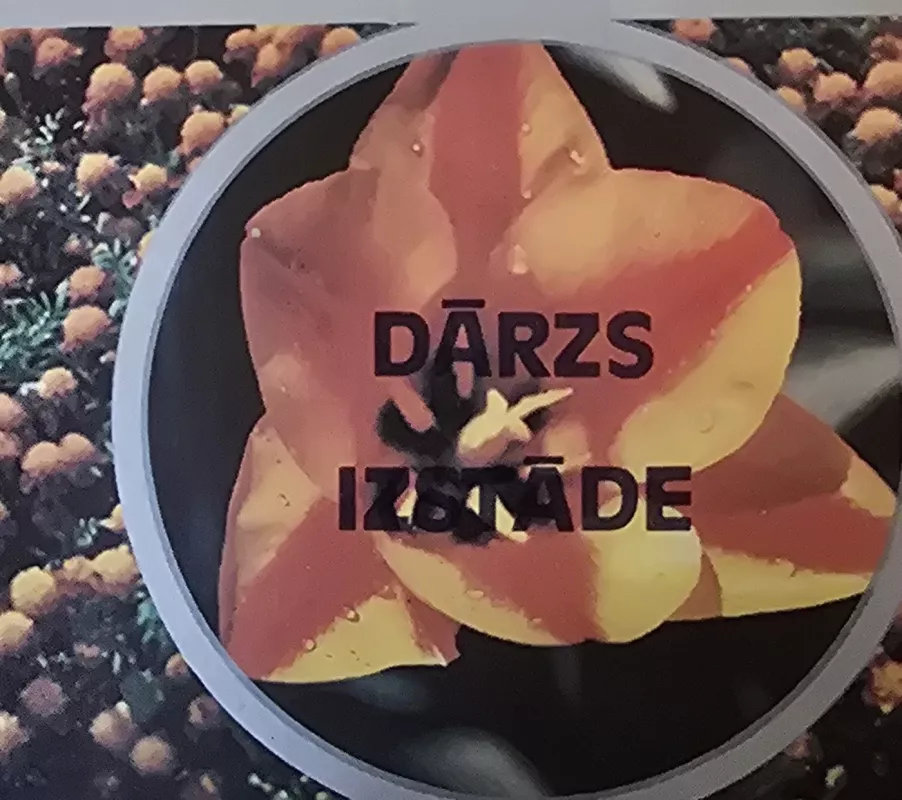 Darz izstade - xxx, knyga 2