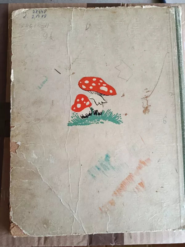 Buvo buvo kaip nebuvo - Kostas Kubilinskas, knyga 5