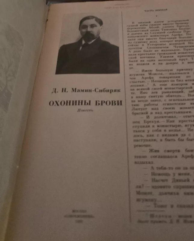 Ochoninų antakiai - D. Sibirjakas, knyga 3