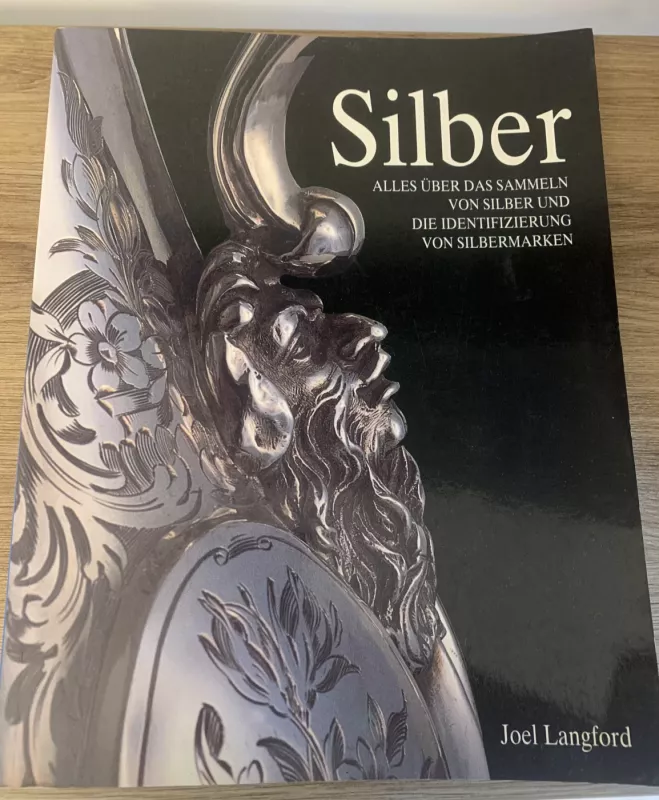 Silber - Joel Langford, knyga 2