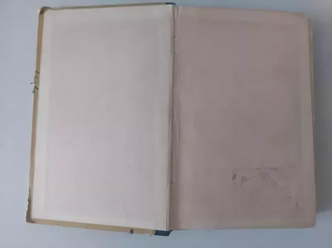 Balantrės šeimininkas - R. L. Stivensonas, knyga 3