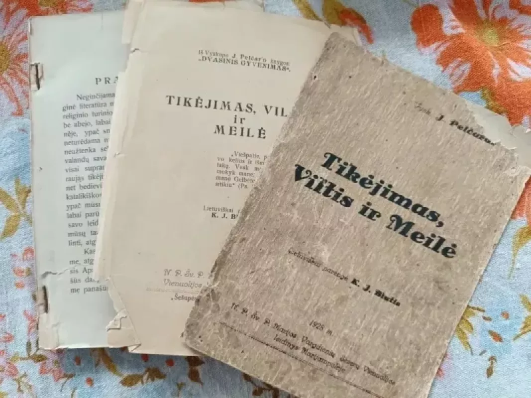 Tikėjimas, Viltis ir Meilė - Vysk. J.  Pelčaras, knyga 4