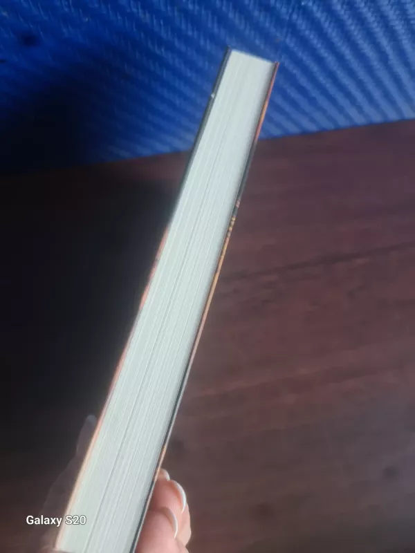 Tavo akimirkos nuodėmė - Tyla Audroje, knyga 4