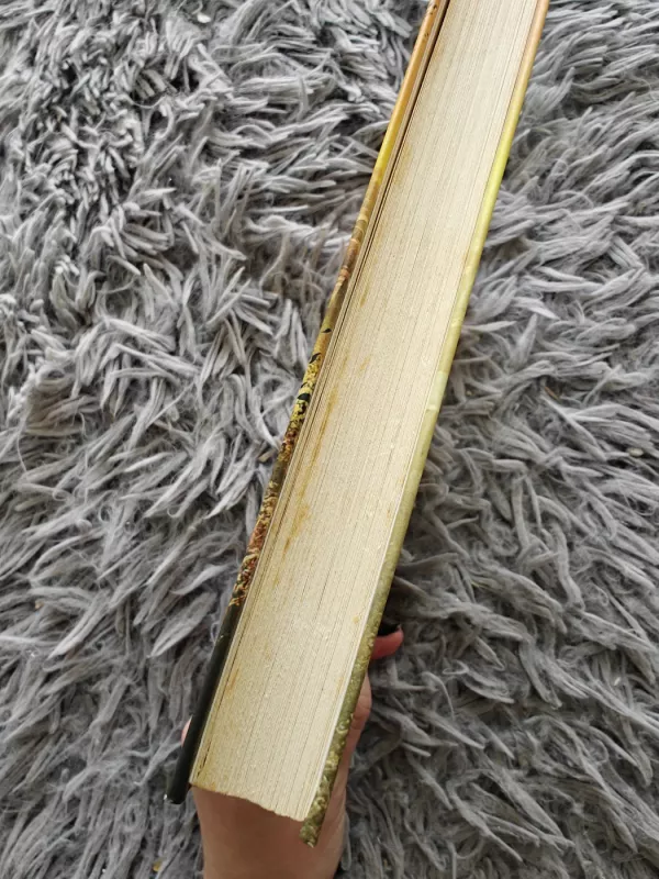 Šiukšlės - Andy Mulligan, knyga 4