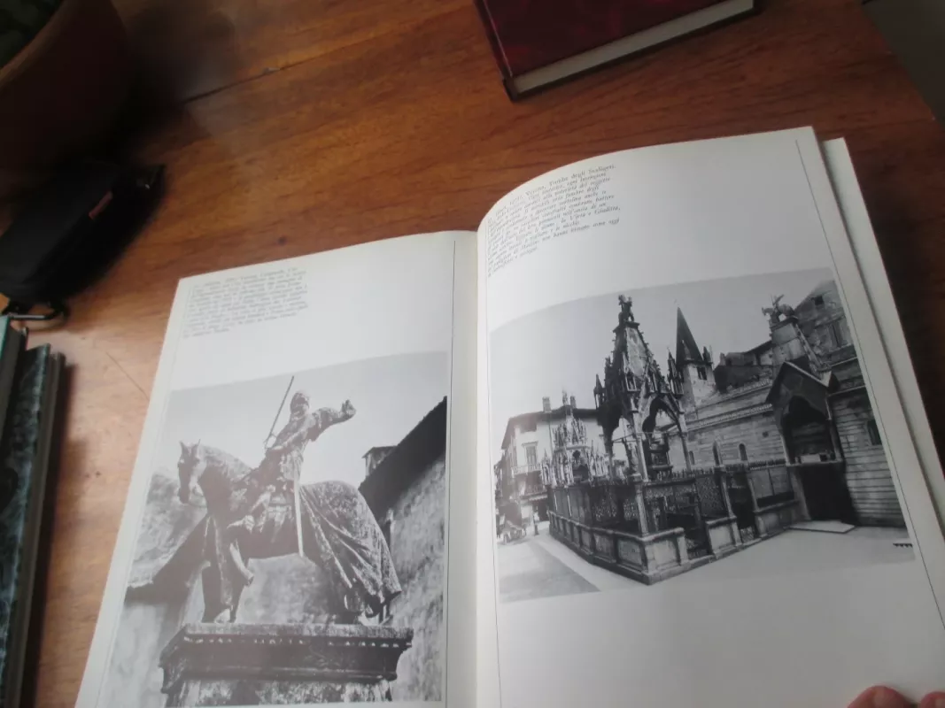 Verona - nelle immagini degli Archivi Alinari - Nino Cenni, knyga 5