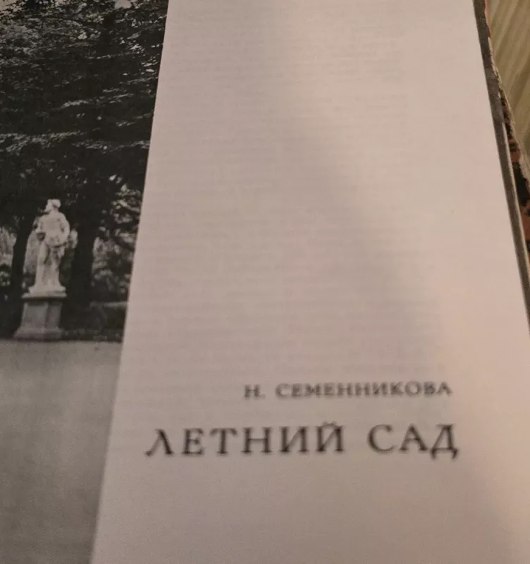 Vasaros sodas - N. Semennikova, knyga 3