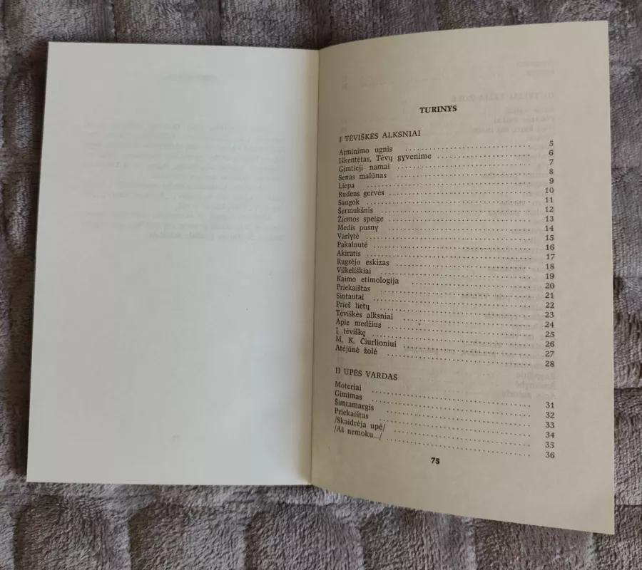 Rugpjūčio dangus - Jonas Jurevičius, knyga 4