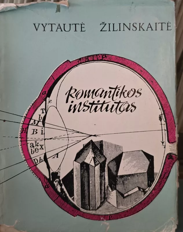 Romantikos institutas arba pafilosofavimai - Vytautė Žilinskaitė, knyga 2