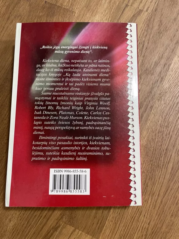 Ką žada ateinanti diena. Kasdienės meditacijos - Karen Casey, Martha  Vancenburg, knyga 3