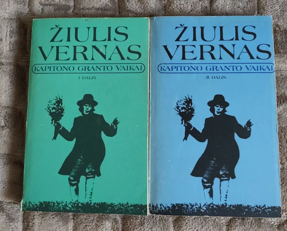 Kapitono Granto vaikai (2 dalys) - Žiulis Vernas, knyga 2