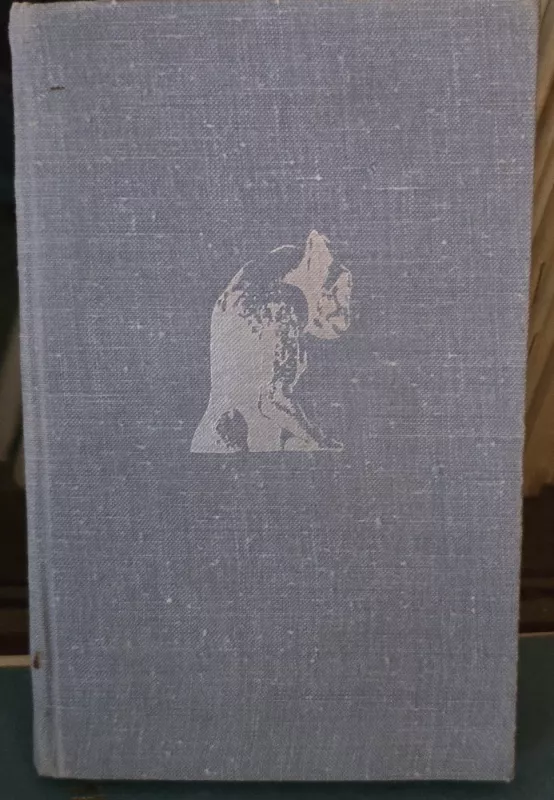 Susitikimas su Prancūzija - M. Kaniauskas, knyga 2