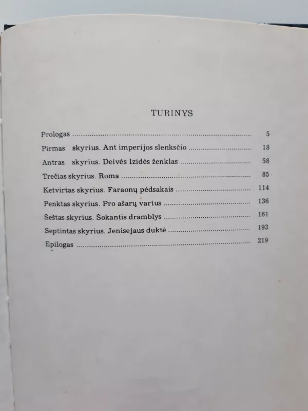 Gintaro kelias - Romualdas Neimantas, knyga 4