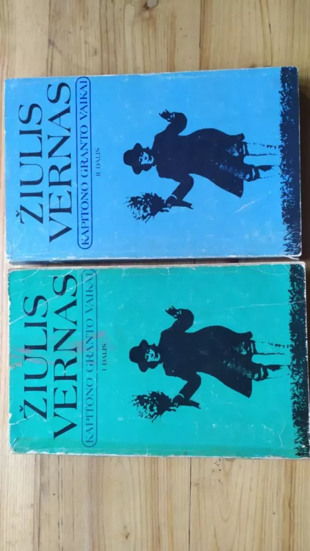 Kapitono Granto vaikai (2 dalys) - Žiulis Vernas, knyga 2