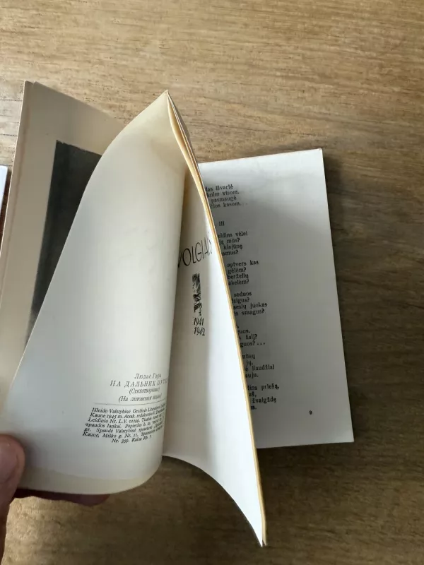 Tolimuos keliuos - Liudas Gira, knyga 4