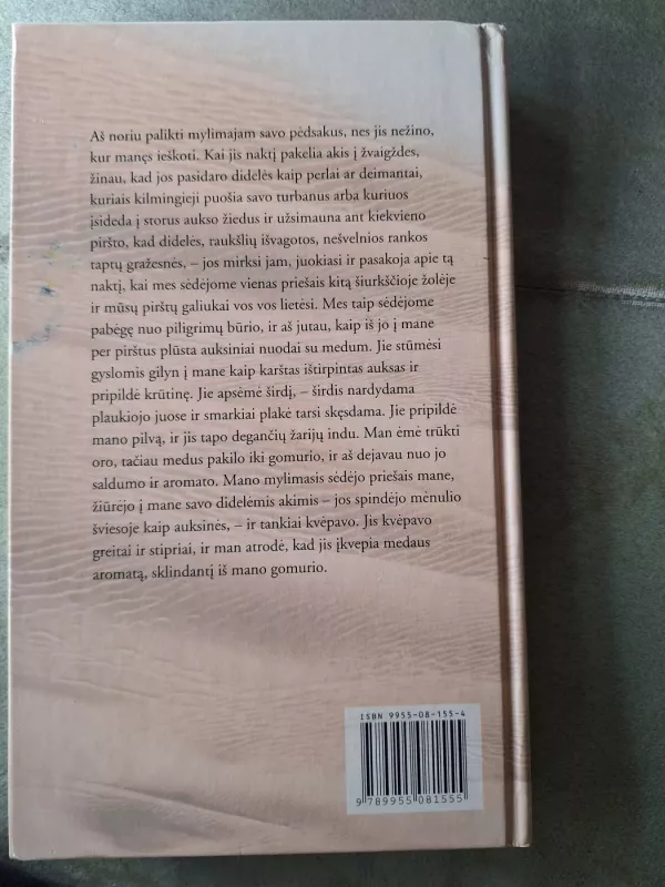 Marija Egiptietė - Vidmantė Jasukaitytė, knyga 4