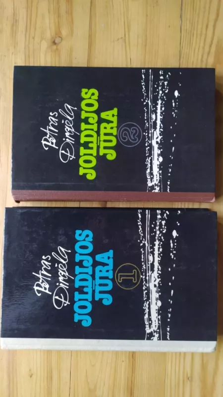 Joldijos jūra (2 dalys) - Petras Dirgėla, knyga 2