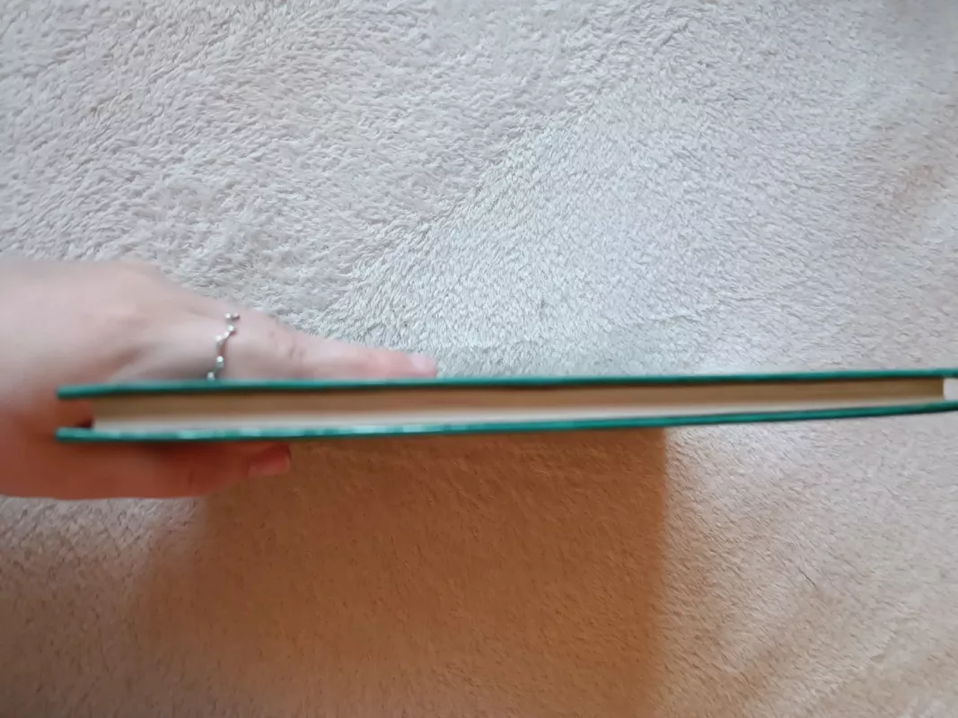 Šalies ir Europos aikštelėse - S. Tokeris, V.  Zeliukas, knyga 4