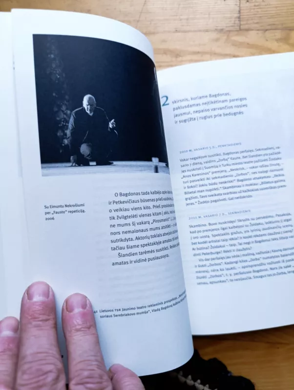 Jausmų repeticijos. Metai su aktoriumi Vladu Bagdonu - Rūta Oginskaitė, knyga 4