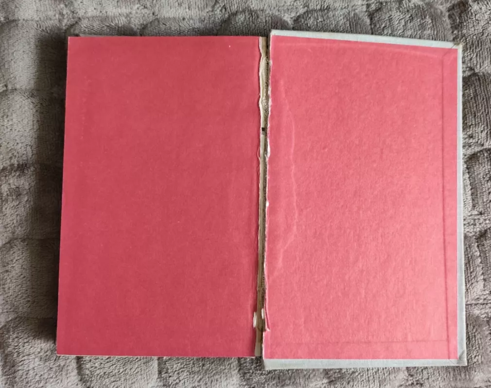 Ąžuolas - Petras Cvirka, knyga 6