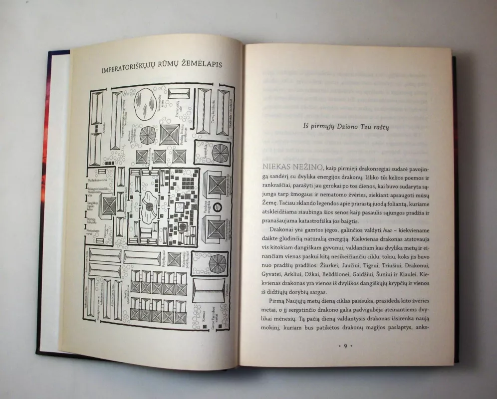 Eonas. Drakonregio atgimimas - Alison Goodman, knyga 6