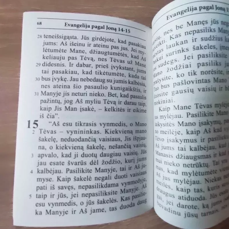 Evangelija pagal Joną - Grupė autorių , knyga 5