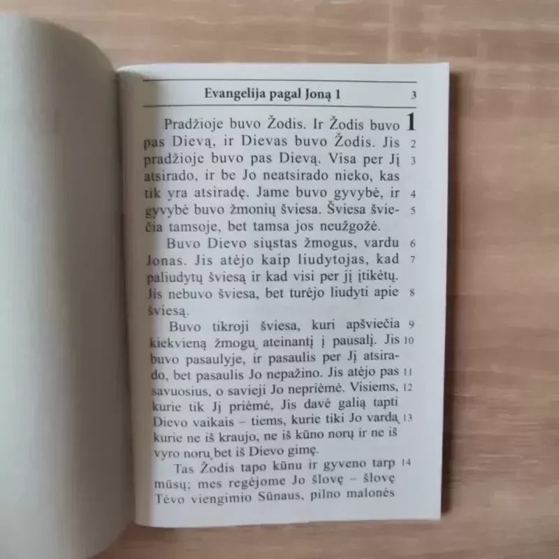 Evangelija pagal Joną - Grupė autorių , knyga 4