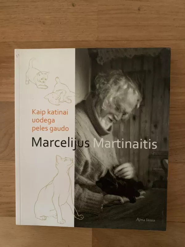 Kaip katinai uodega peles gaudo - Marcelijus Martinaitis, knyga 2